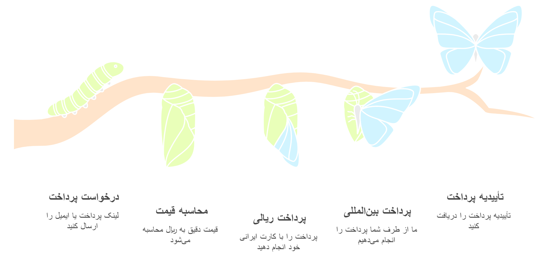 پرداخت هزینه درخواست دانشگاه